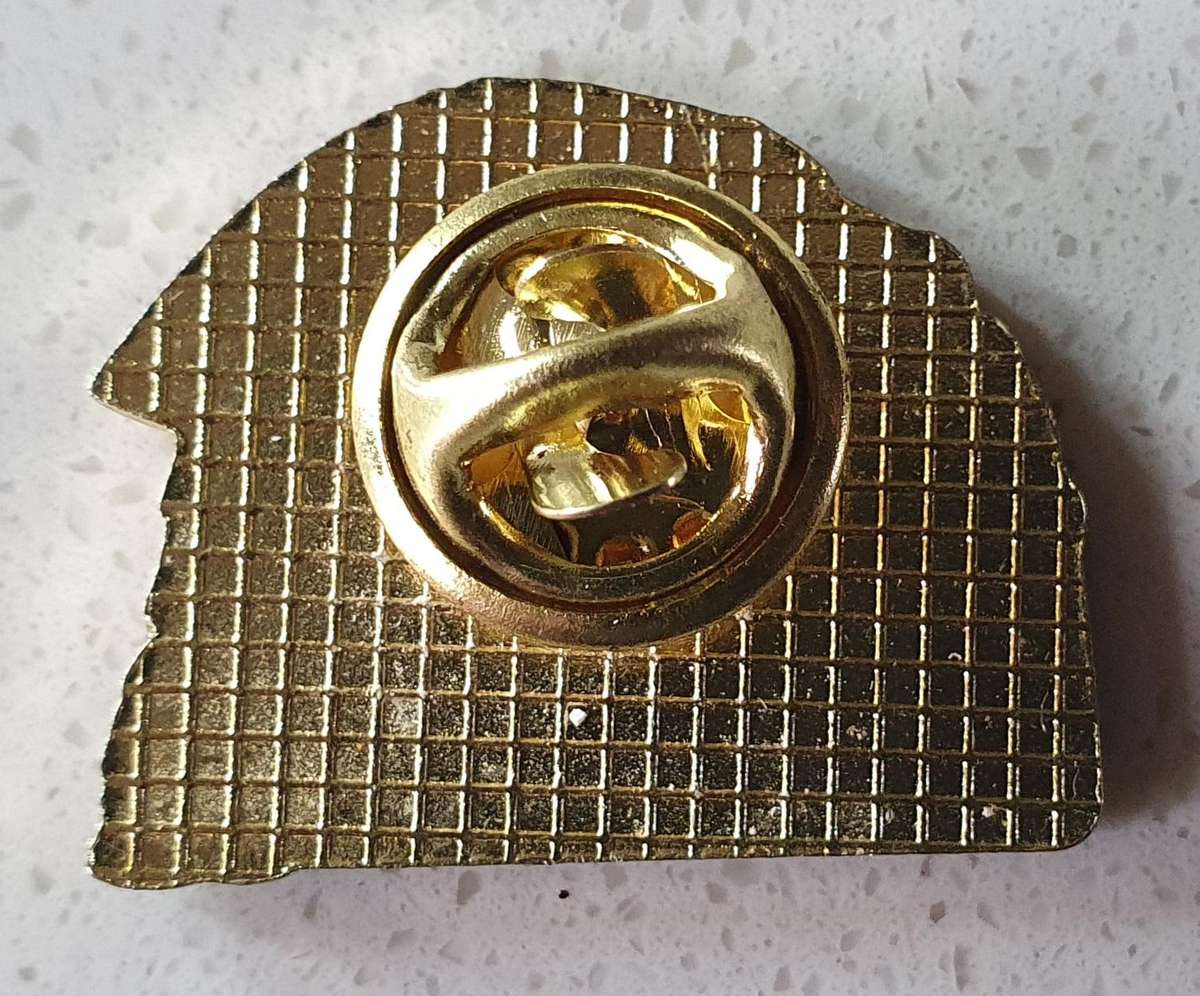 SKAGWAY ALASKA TRAVELING PIN as per photo