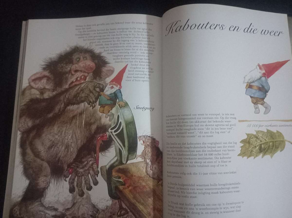 Die lewe en werke van Kabouters