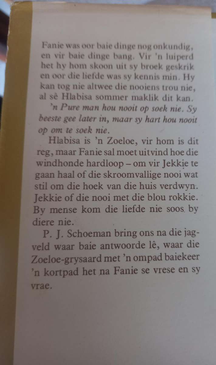 Fanie se Veldskooldae