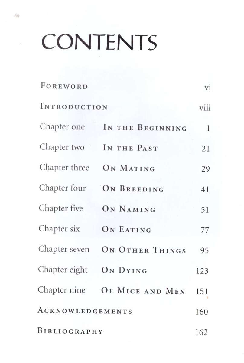 Lulu Phezulu, Leigh Voigts African Album