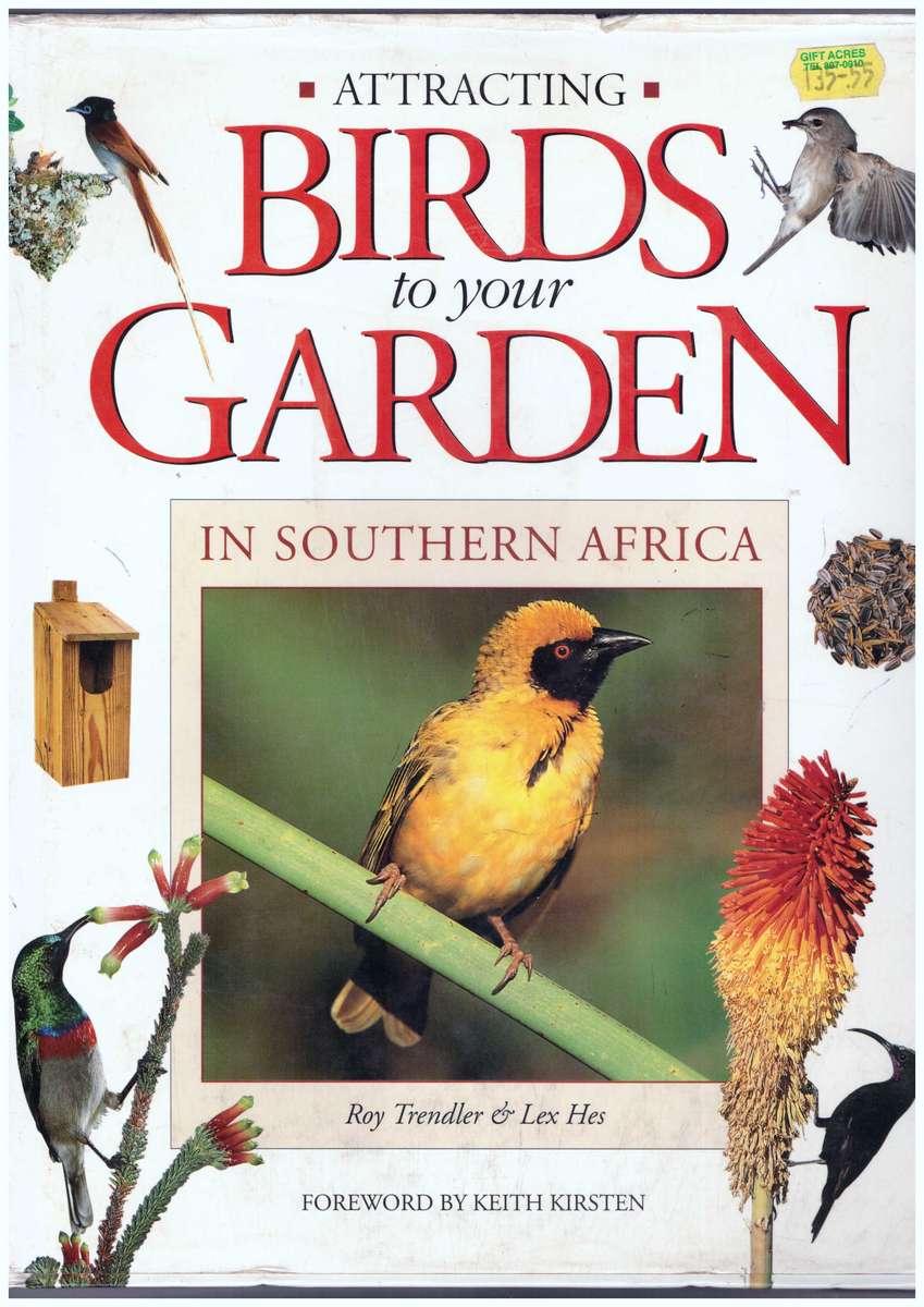 Attracting Birds to your Garden in Southern Africa