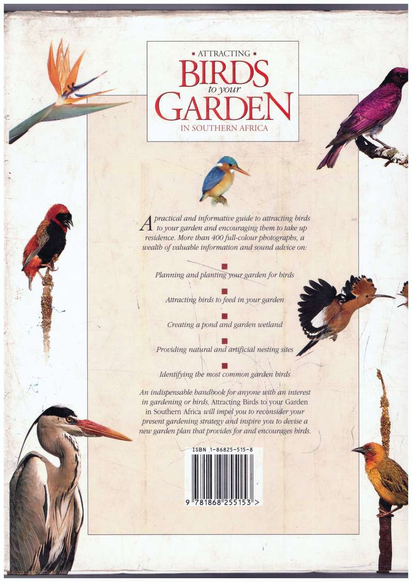 Attracting Birds to your Garden in Southern Africa