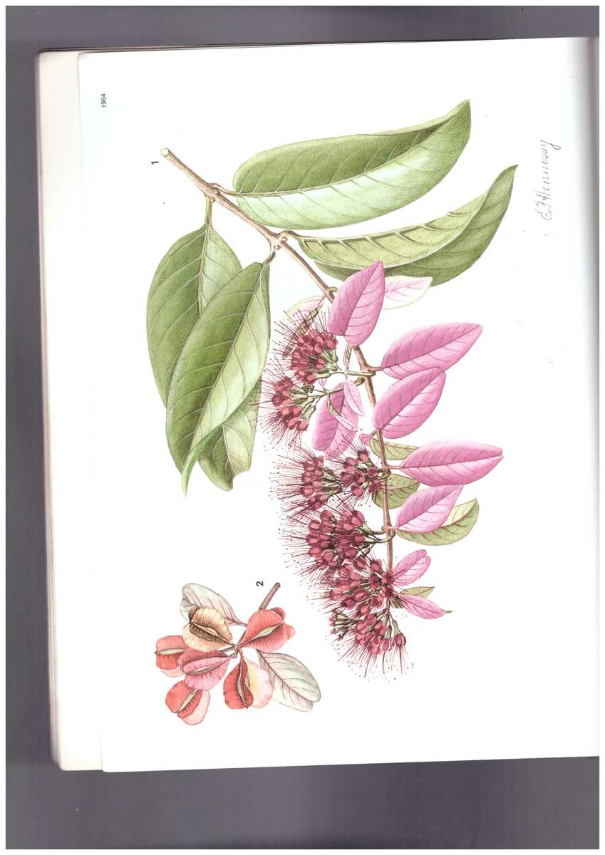 Die Blomplante van Afrika, twee kopies, 1988 en 1989