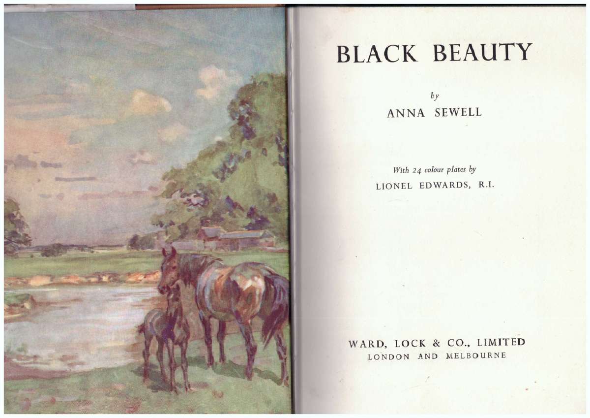 Black Beauty - Anna Servell
