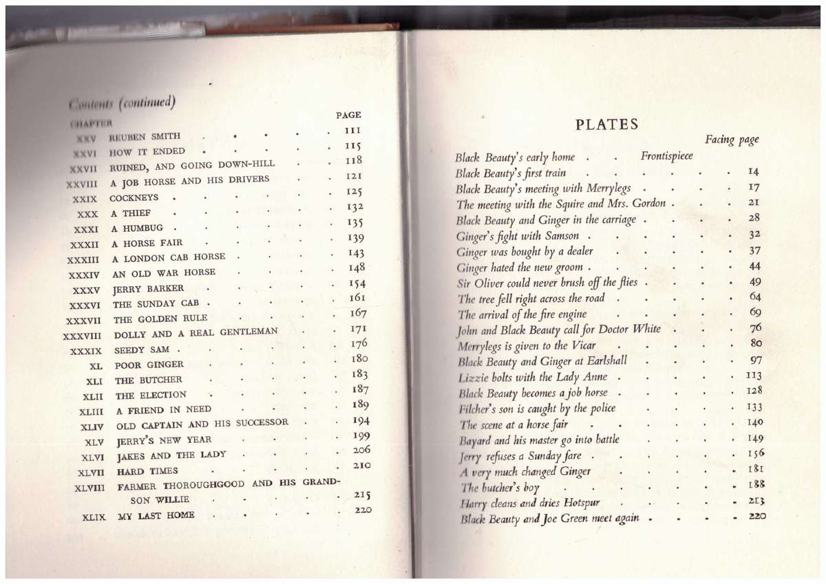 Black Beauty - Anna Servell