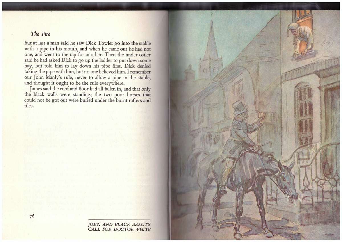 Black Beauty - Anna Servell