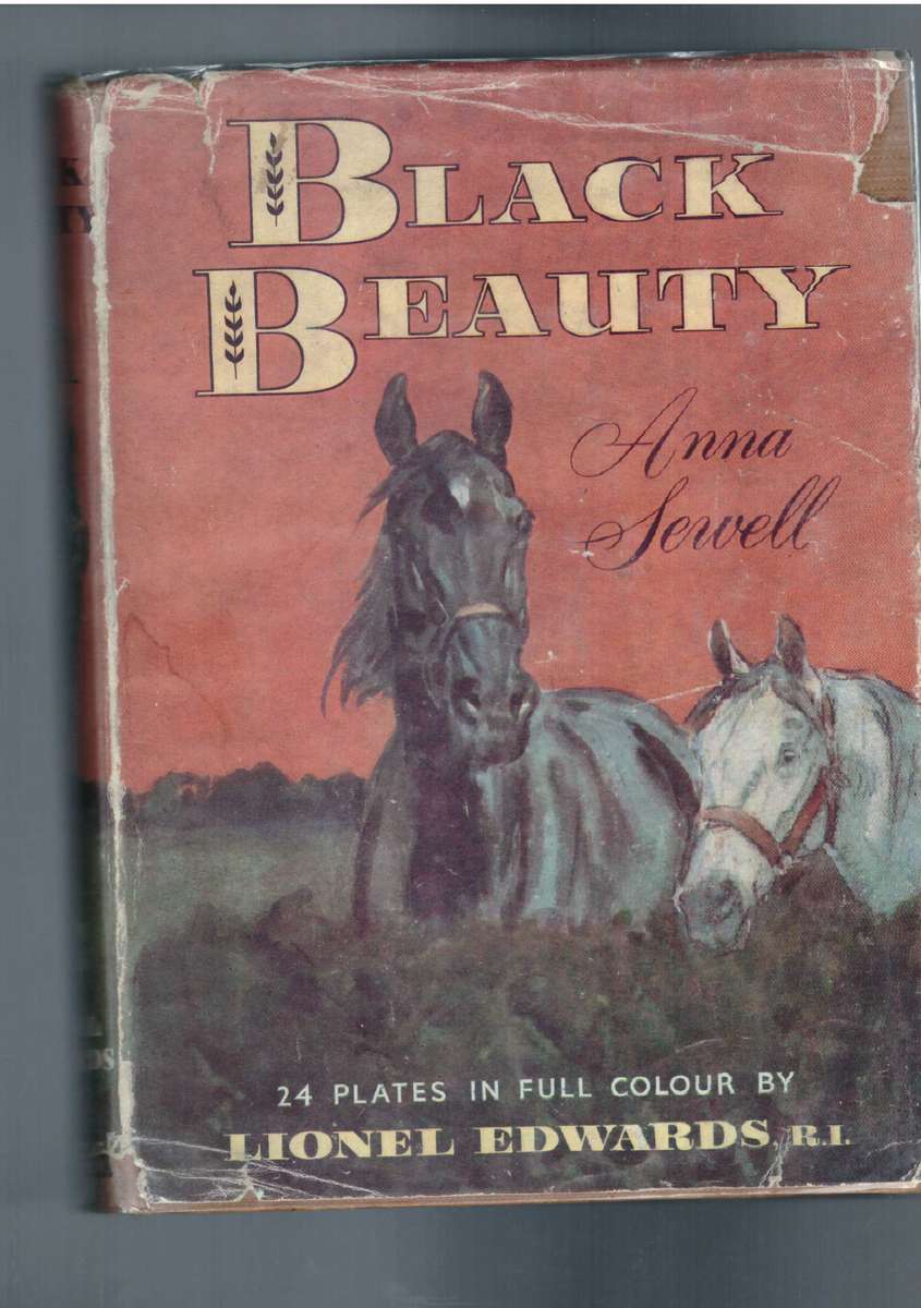 Black Beauty - Anna Servell