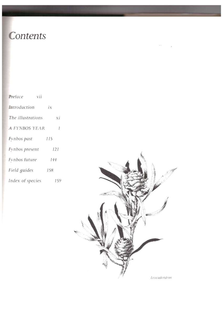 A Fynbos Year