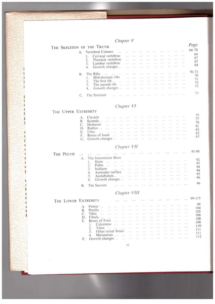 The Skeletal Remains of Bambandyanalo, (Mapungubwe)