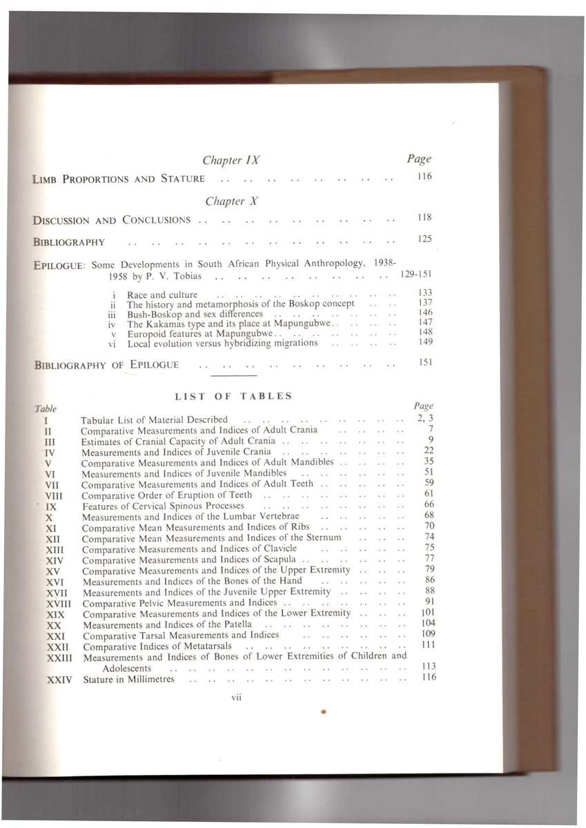 The Skeletal Remains of Bambandyanalo, (Mapungubwe)