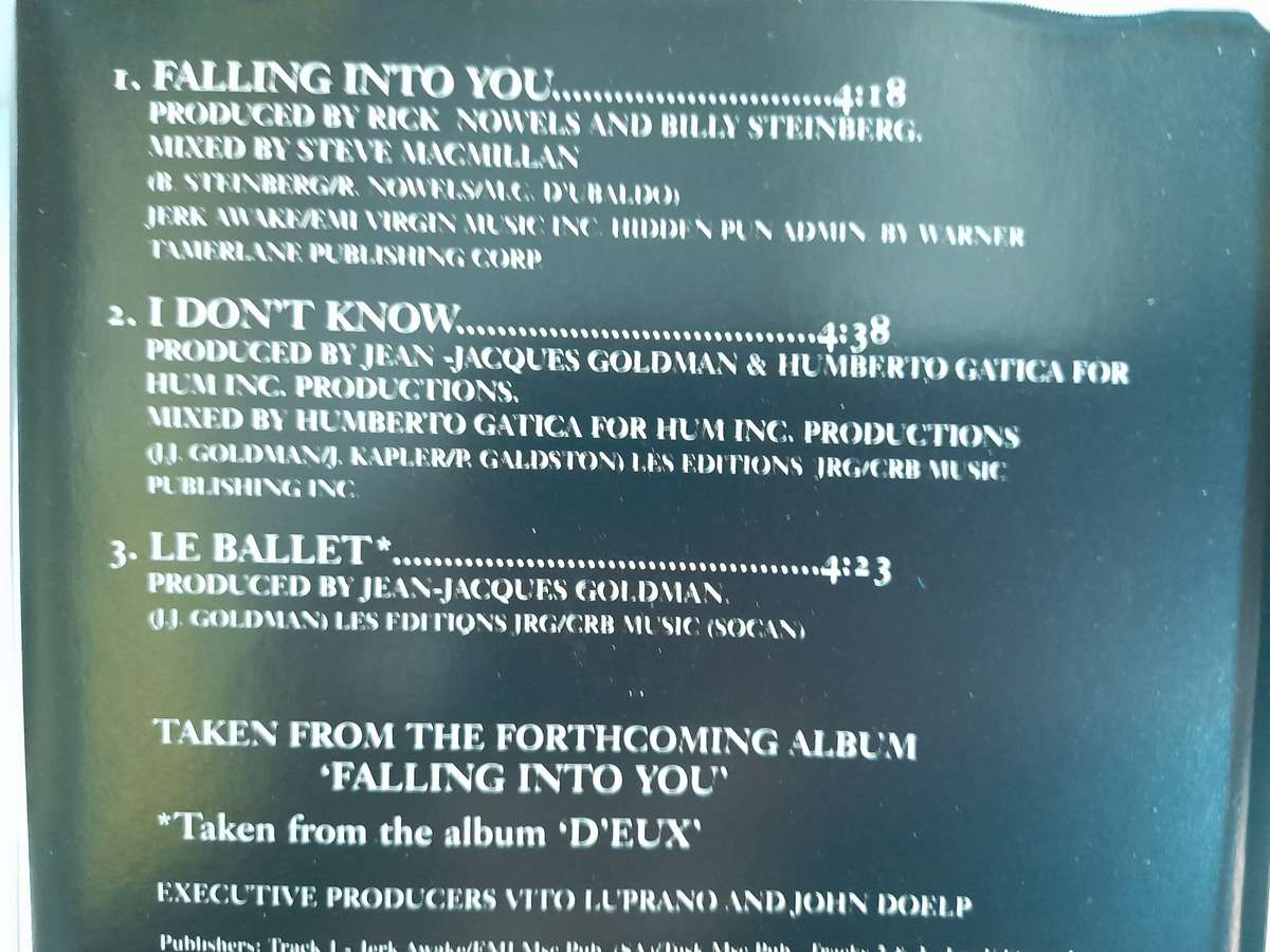 Celine Dion - Falling Into You (Single)