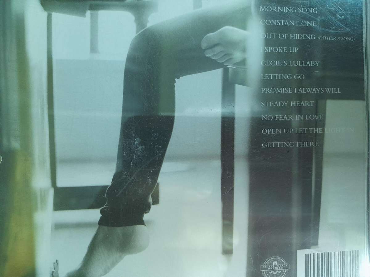 The Undoing - Steffany Gretzinger