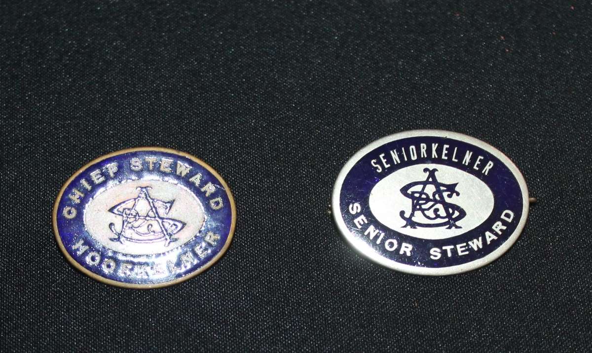 2 SAR Pin Badges