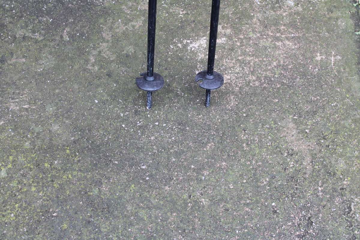 Master's JNR Ski Poles