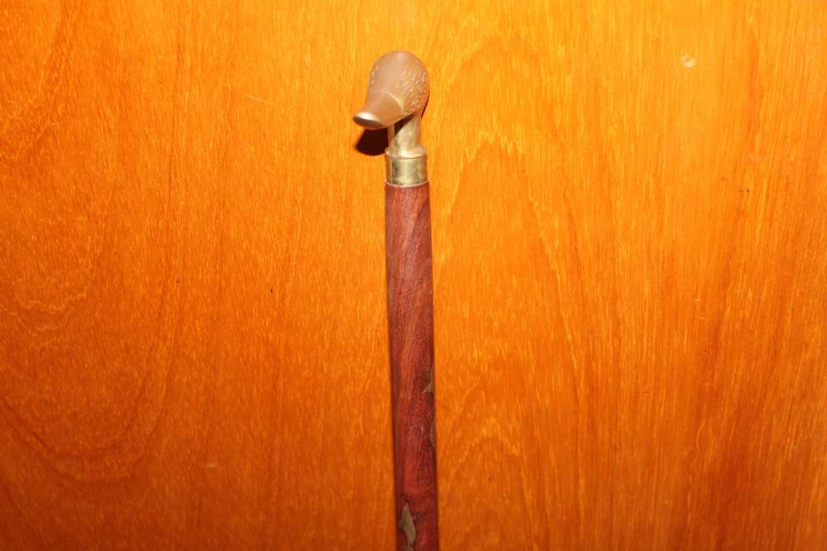 Walking Stick with duck head