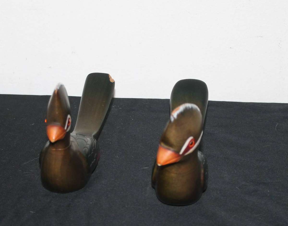 African carvers Knysna Lourie - Handcrafted wood sculpture