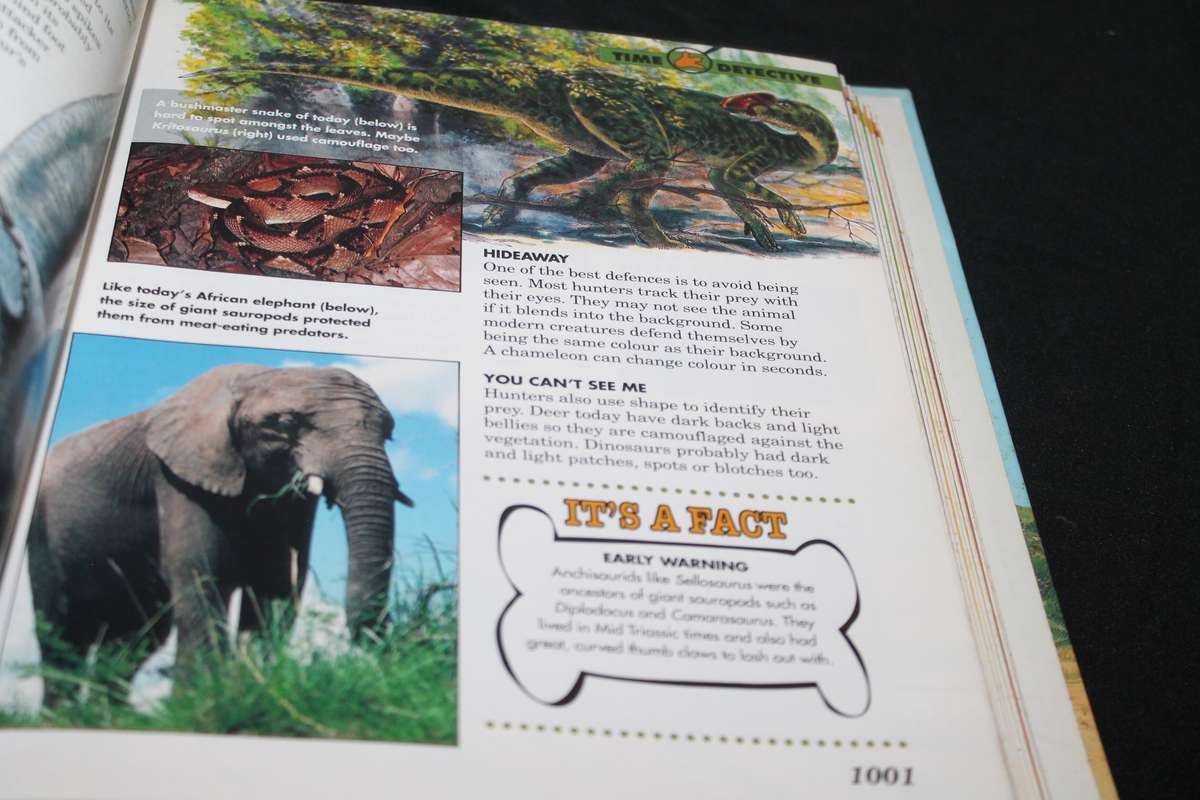 6 Files Dinosaurs Discover the Giants of the Prehistoric World Vol 1 to 79