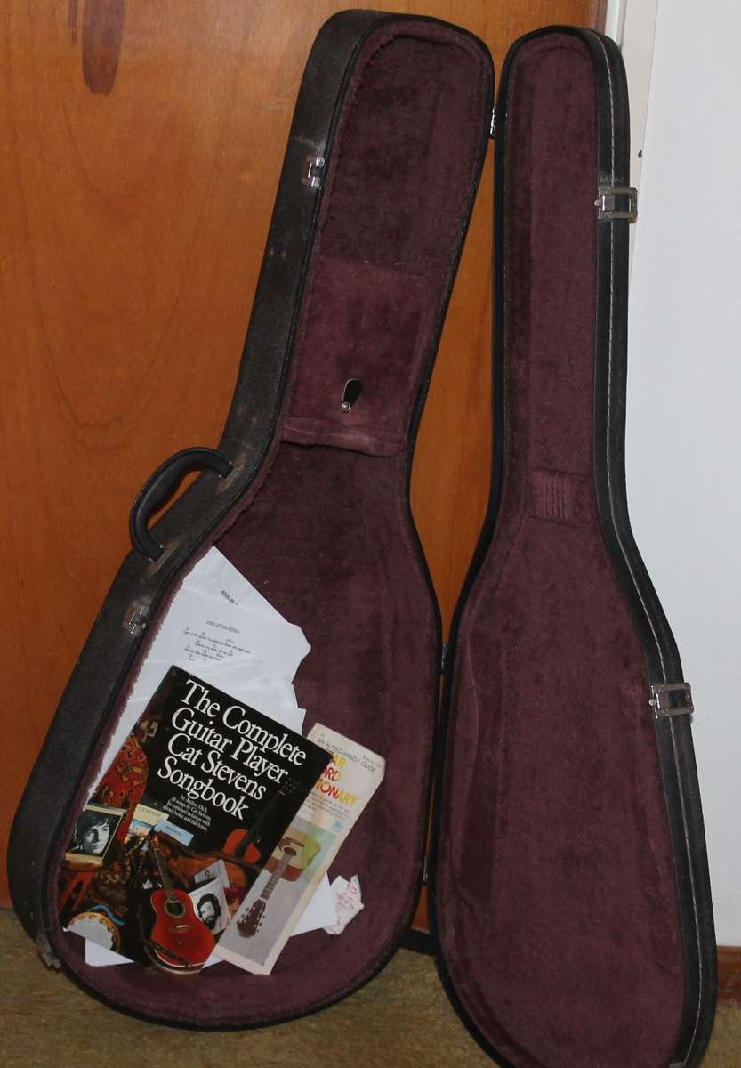 Vintage Ibanez Performance Guitar in Case