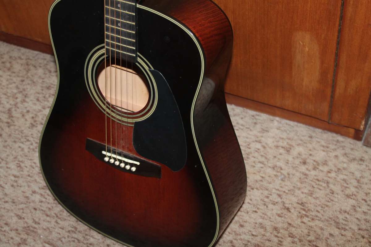 Vintage Ibanez Performance Guitar in Case