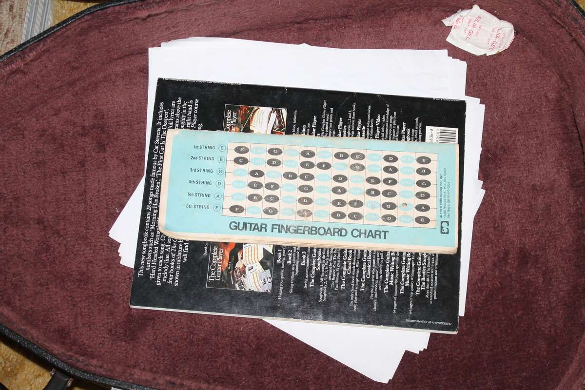 Vintage Ibanez Performance Guitar in Case