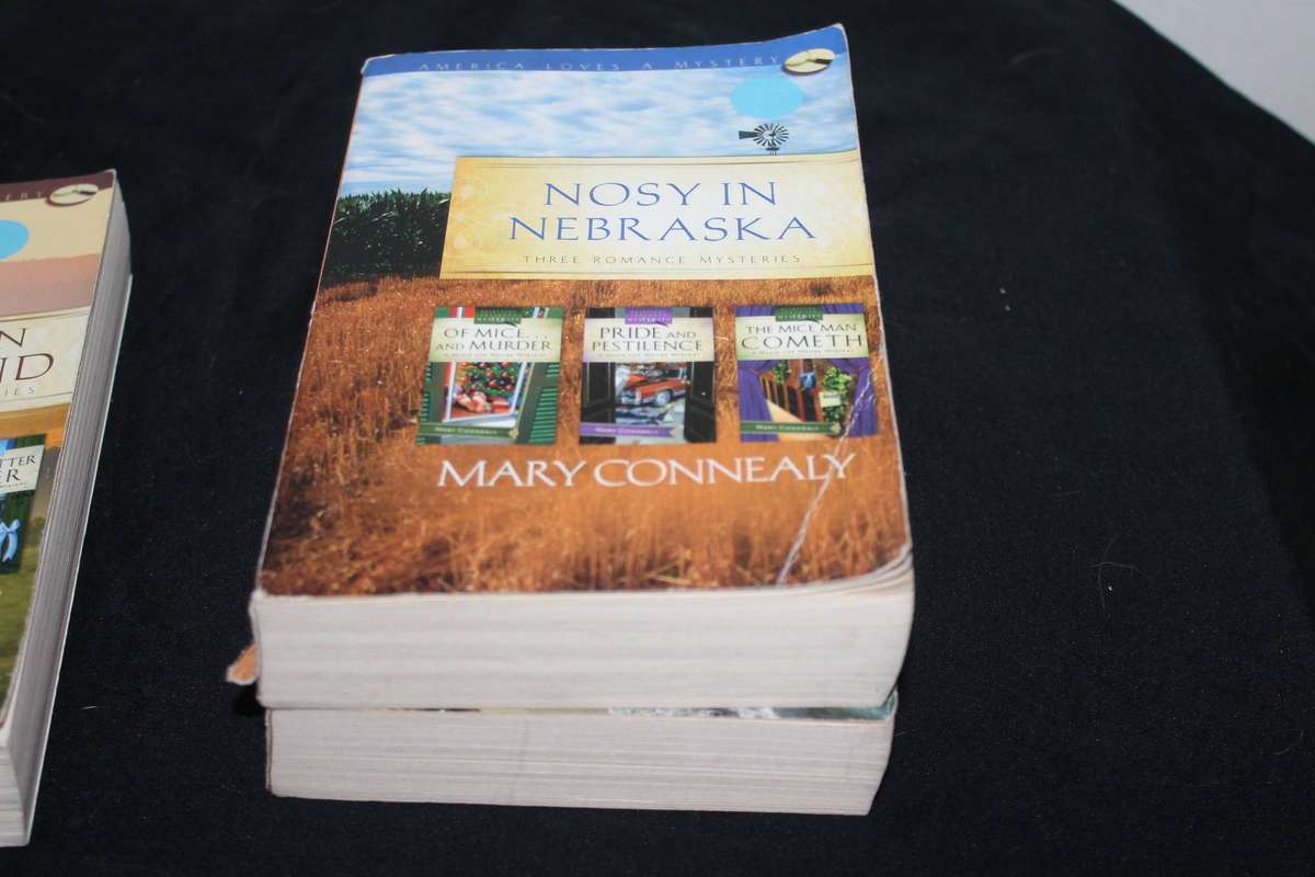 3 in 1 Romance Mysteries 3 books