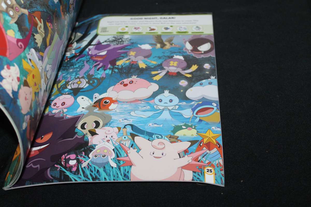 Pokémon Search & Find Book