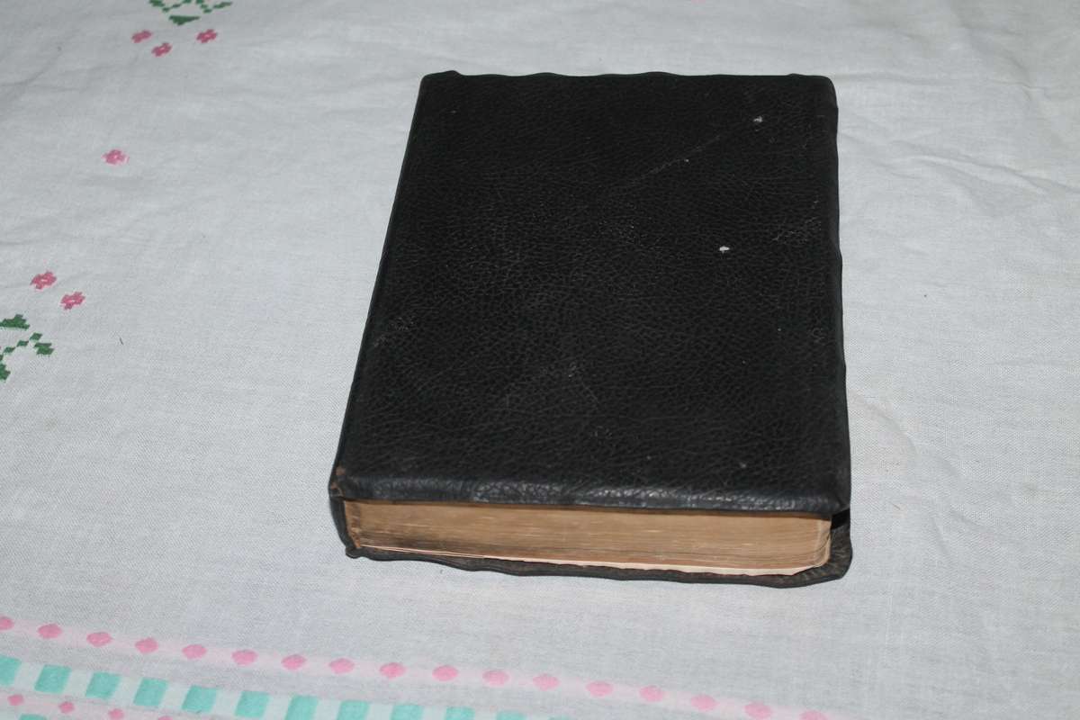 The Chain New reference Bible