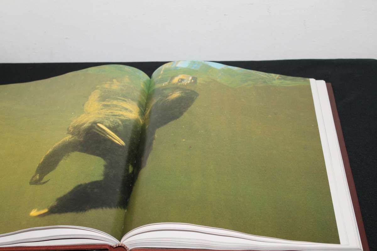 Jacques Cousteau's Amazon Journey