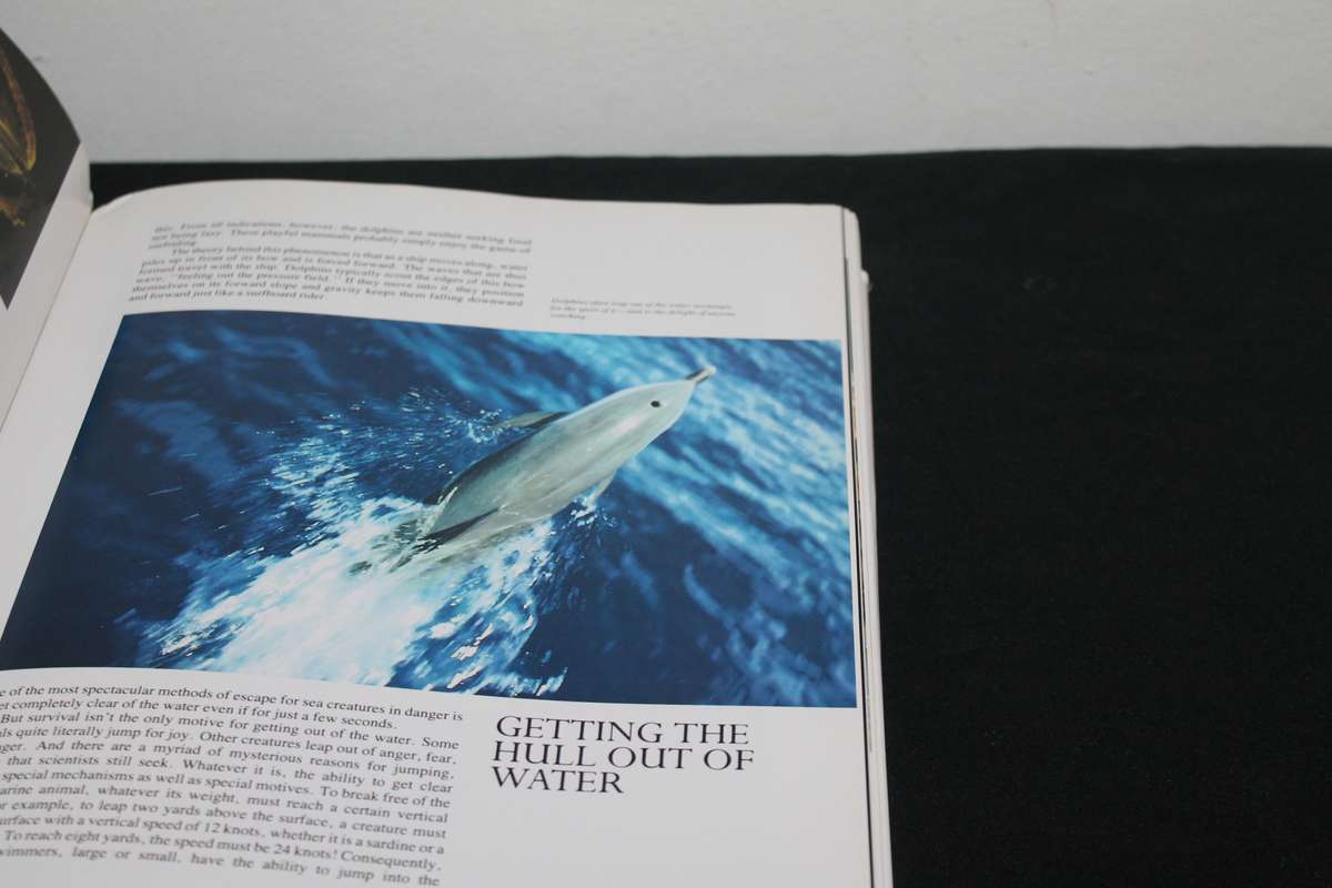 Jacques Cousteau The Ocean World