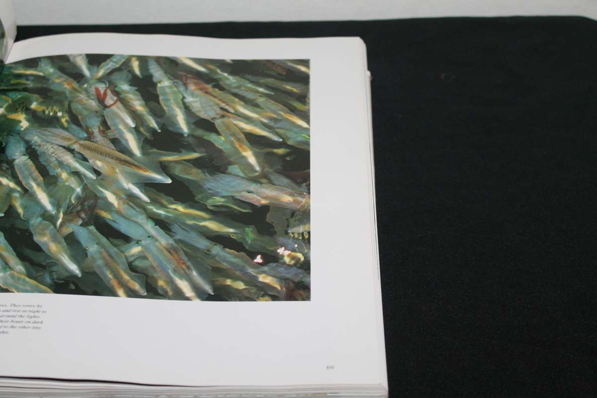 Jacques Cousteau The Ocean World