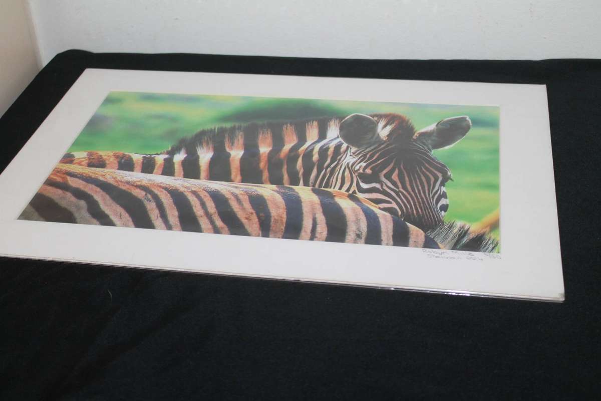 Robin Mills Limited Edition Photograph of Zebra
