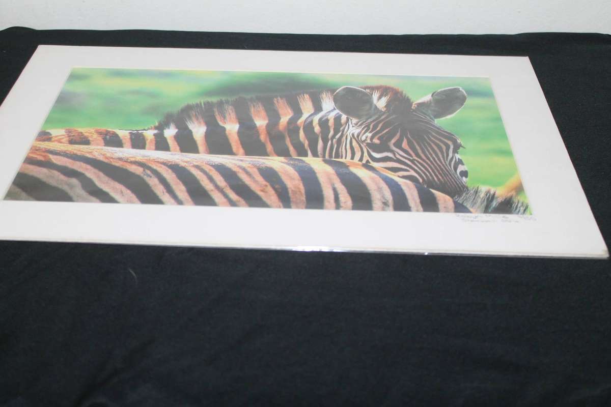 Robin Mills Limited Edition Photograph of Zebra