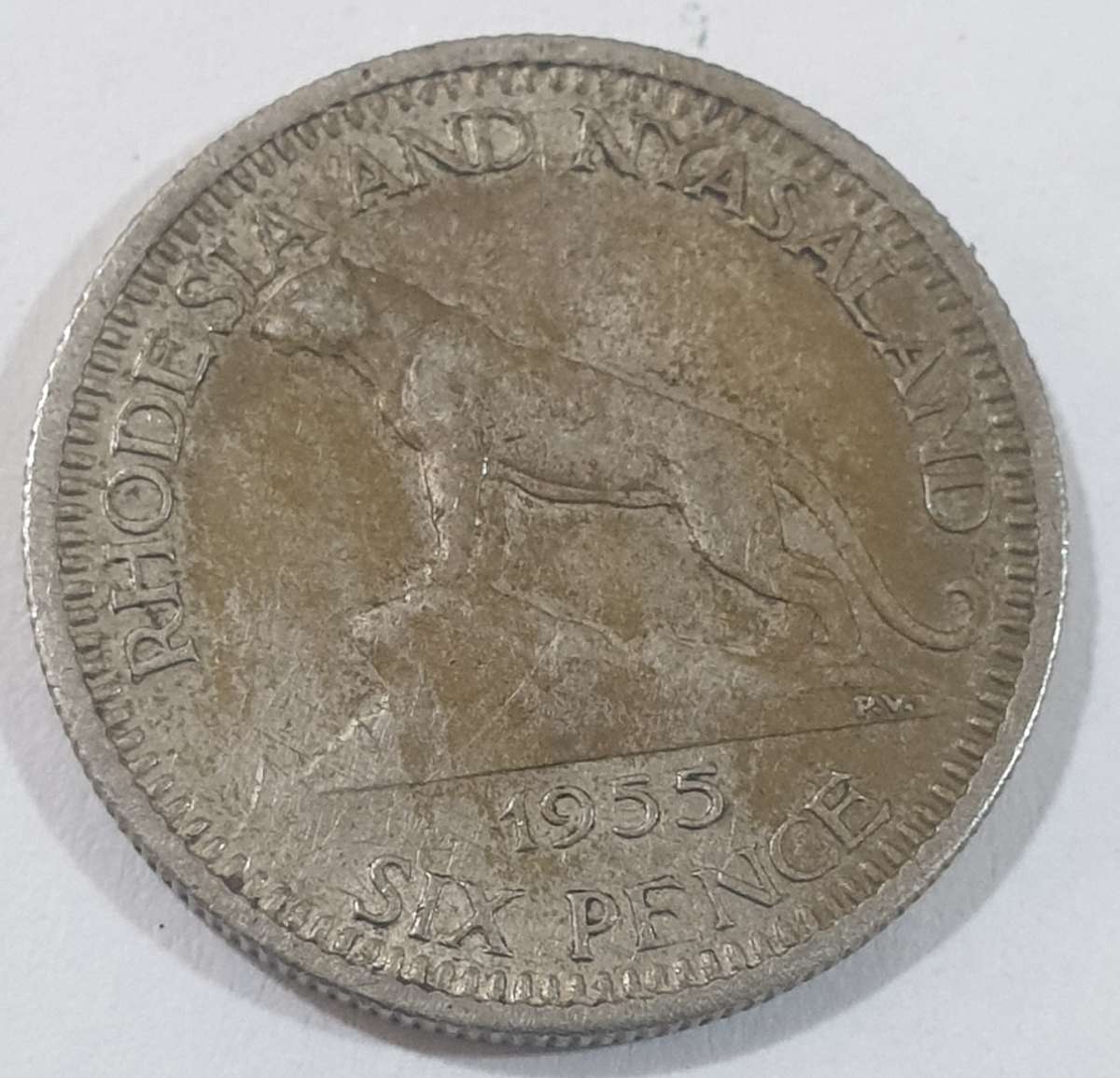 LOW MINTAGE - 1955 Rhodesia and Nyasaland 6 pence , Queen Elizabeth II coins  @@ R1 No reserve