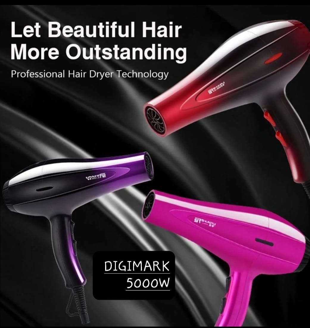 Digimark Professional Hair Dryer