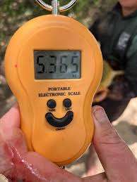 50kg Portable Electronic Scale