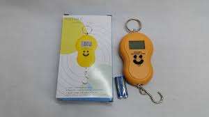 50kg Portable Electronic Scale