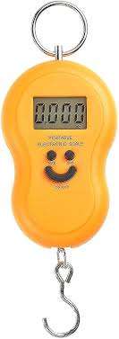50kg Portable Electronic Scale