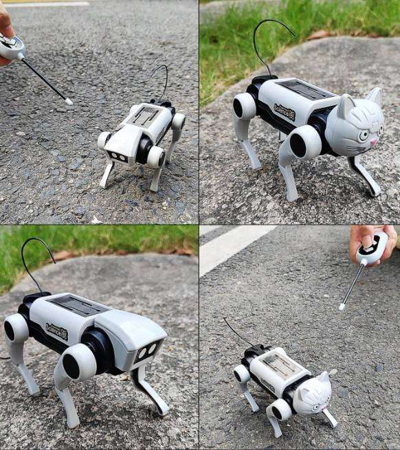 DIY Mechanical Robot Dog and Cat Kit Remote Control Walking Toy