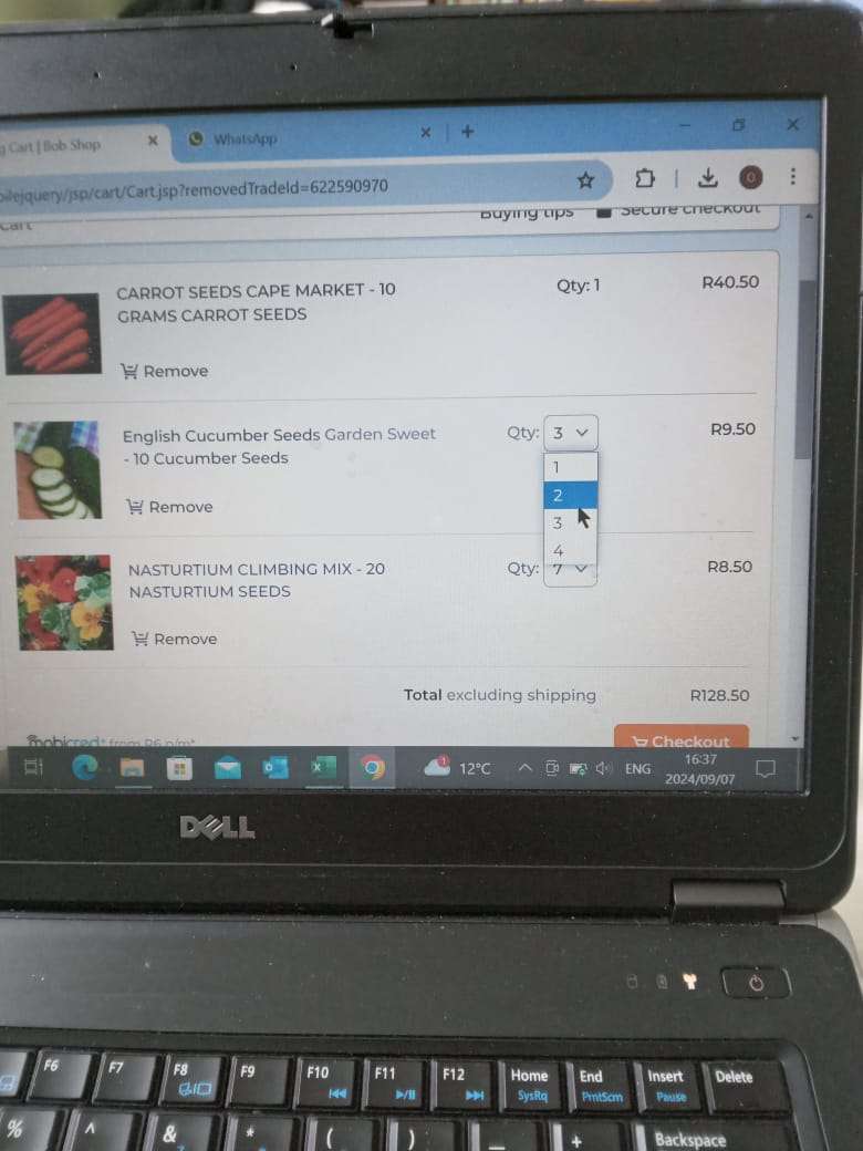 NASTURTIUM CLIMBING MIX - 20 NASTURTIUM SEEDS