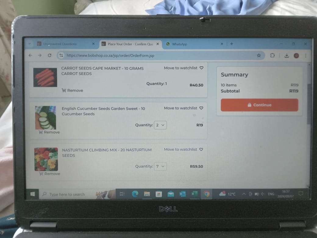 NASTURTIUM CLIMBING MIX - 20 NASTURTIUM SEEDS