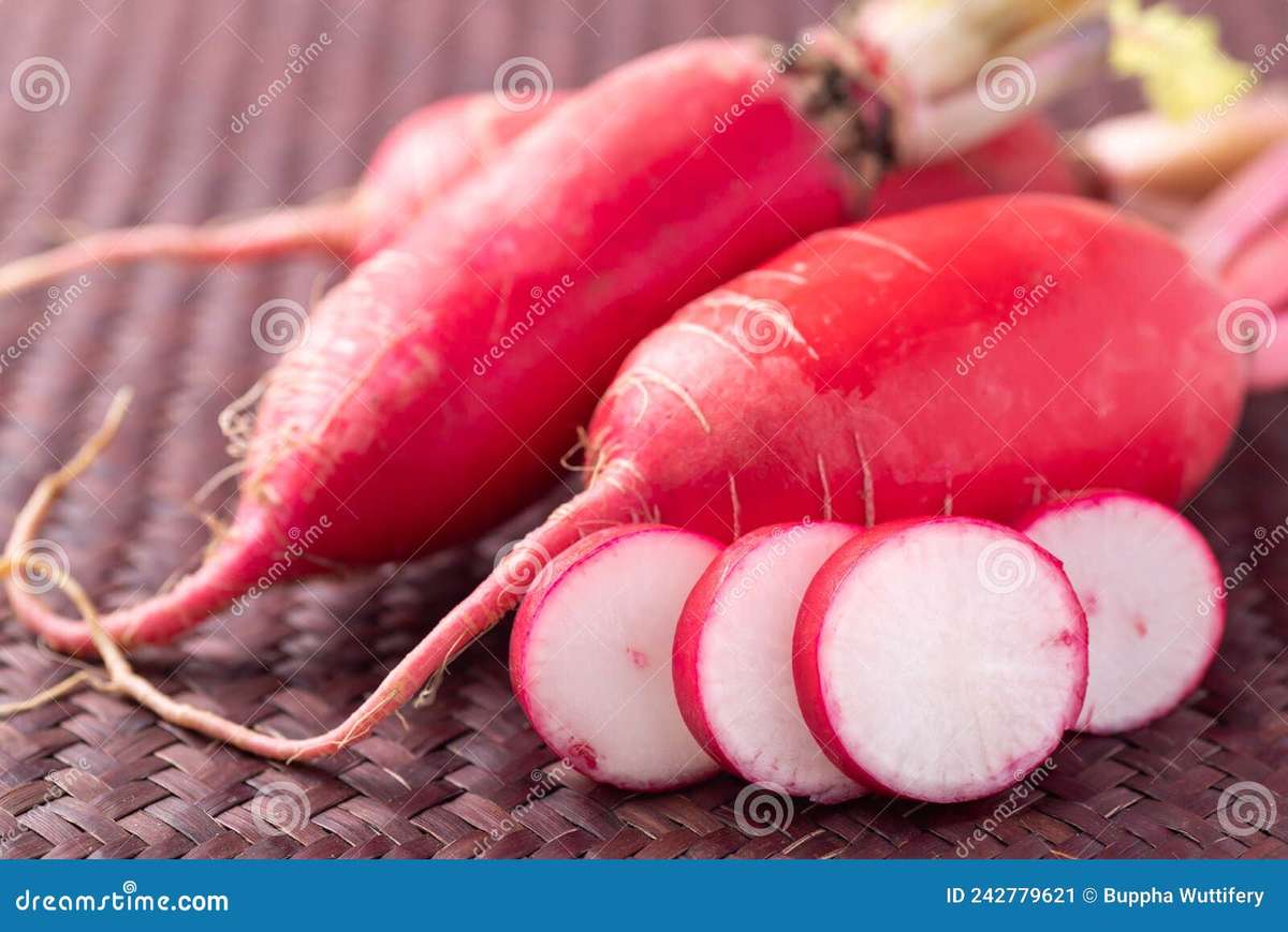 Daikon seeds Japanese Radish Seeds - 2 grams radish seeds