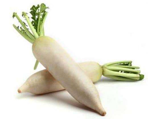 Radish Seeds Candela Di Ghiaccio - 50 radish seeds