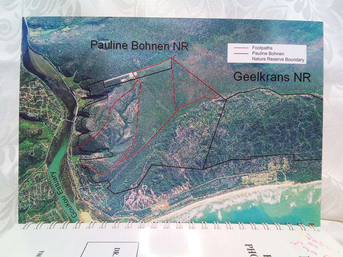 Pauline Bohnen Nature reserve Photographic guide (Stillbay area)