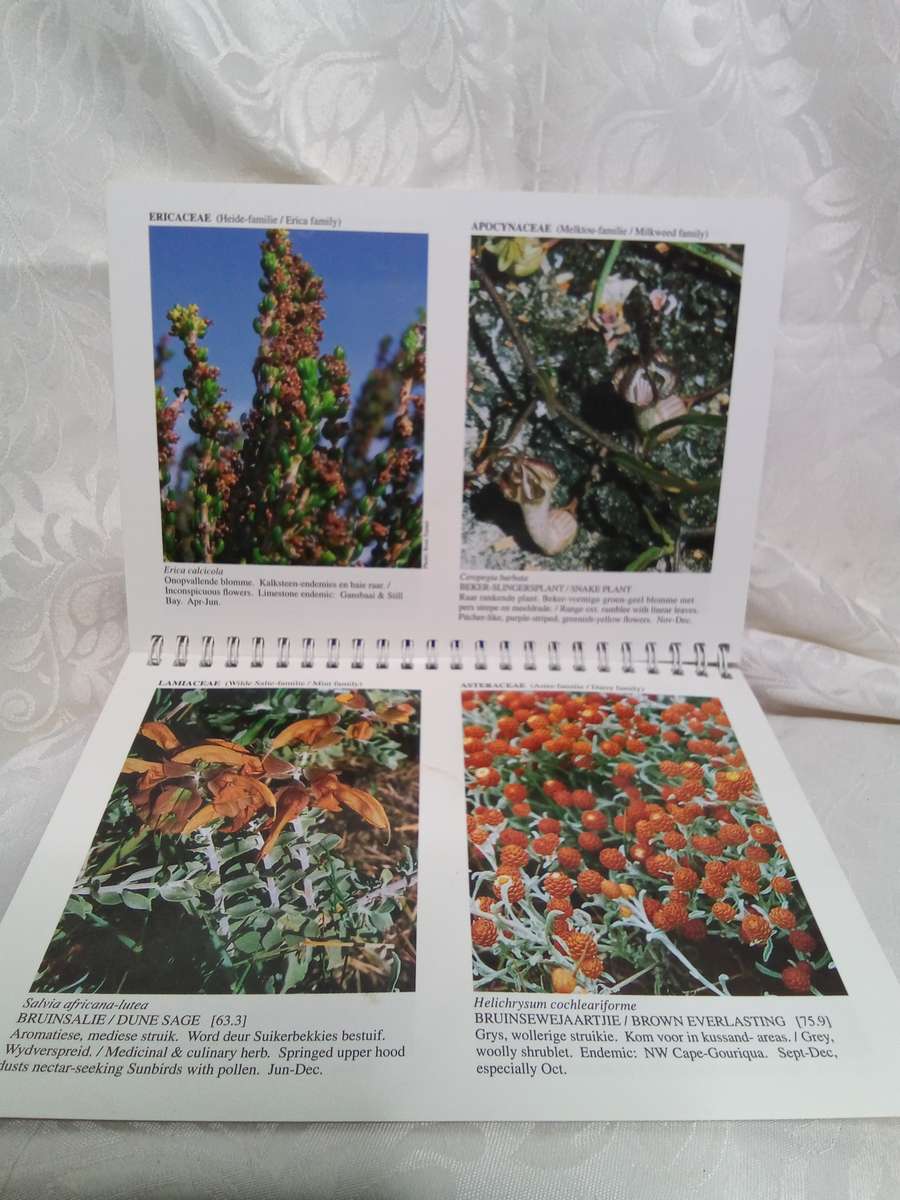 Pauline Bohnen Nature reserve Photographic guide (Stillbay area)