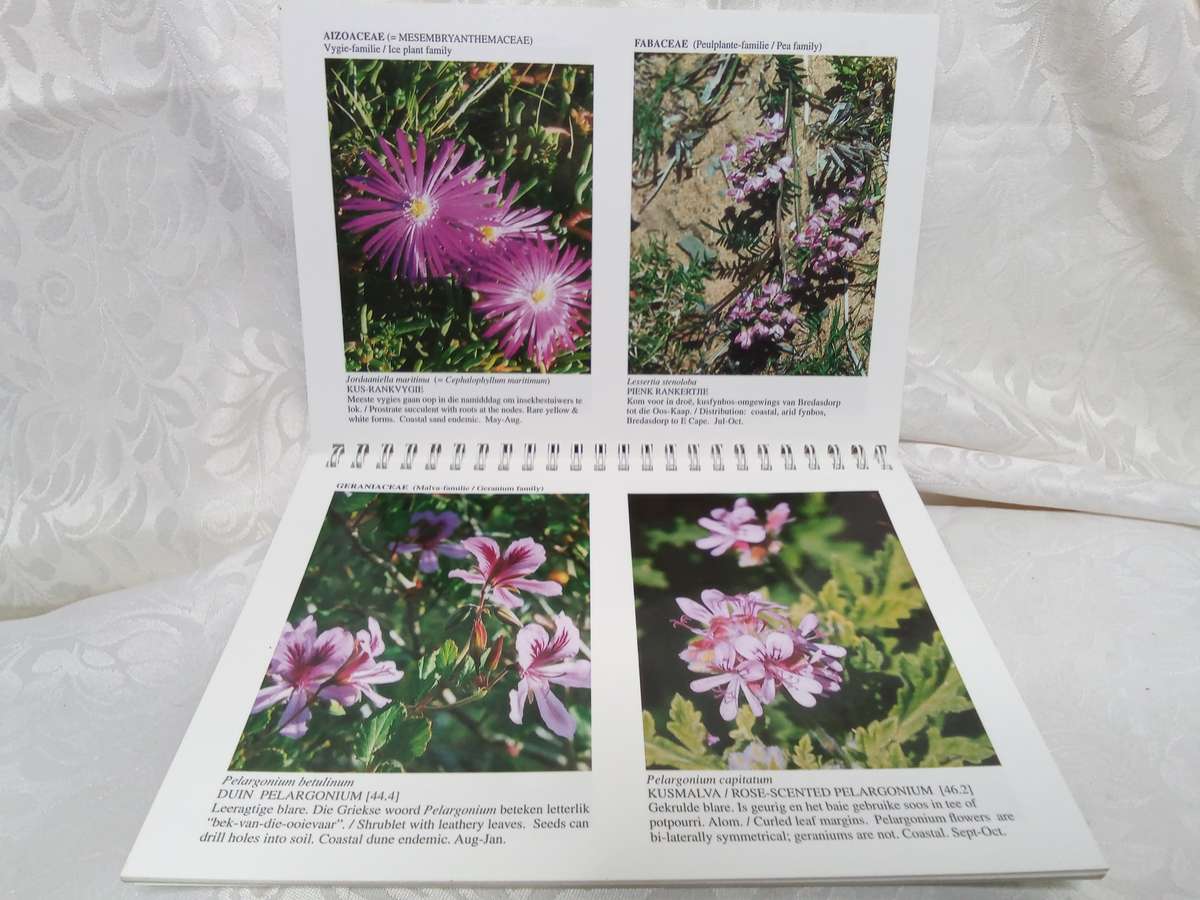 Pauline Bohnen Nature reserve Photographic guide (Stillbay area)