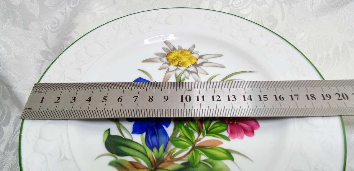 Gorgeous E&A Böckling Neudenau hand painted wall plate with lovely embossed edge