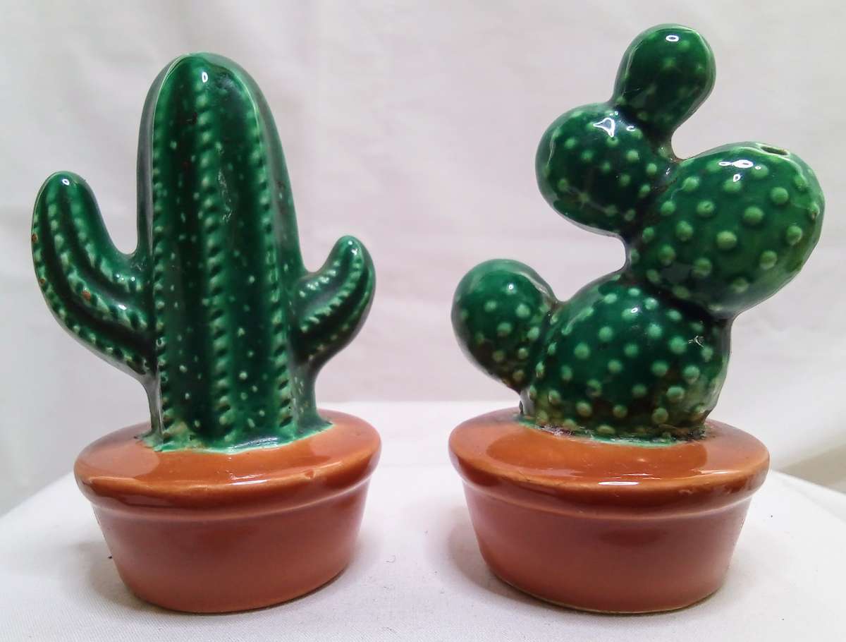 Cacti porcelain salt and pepper set