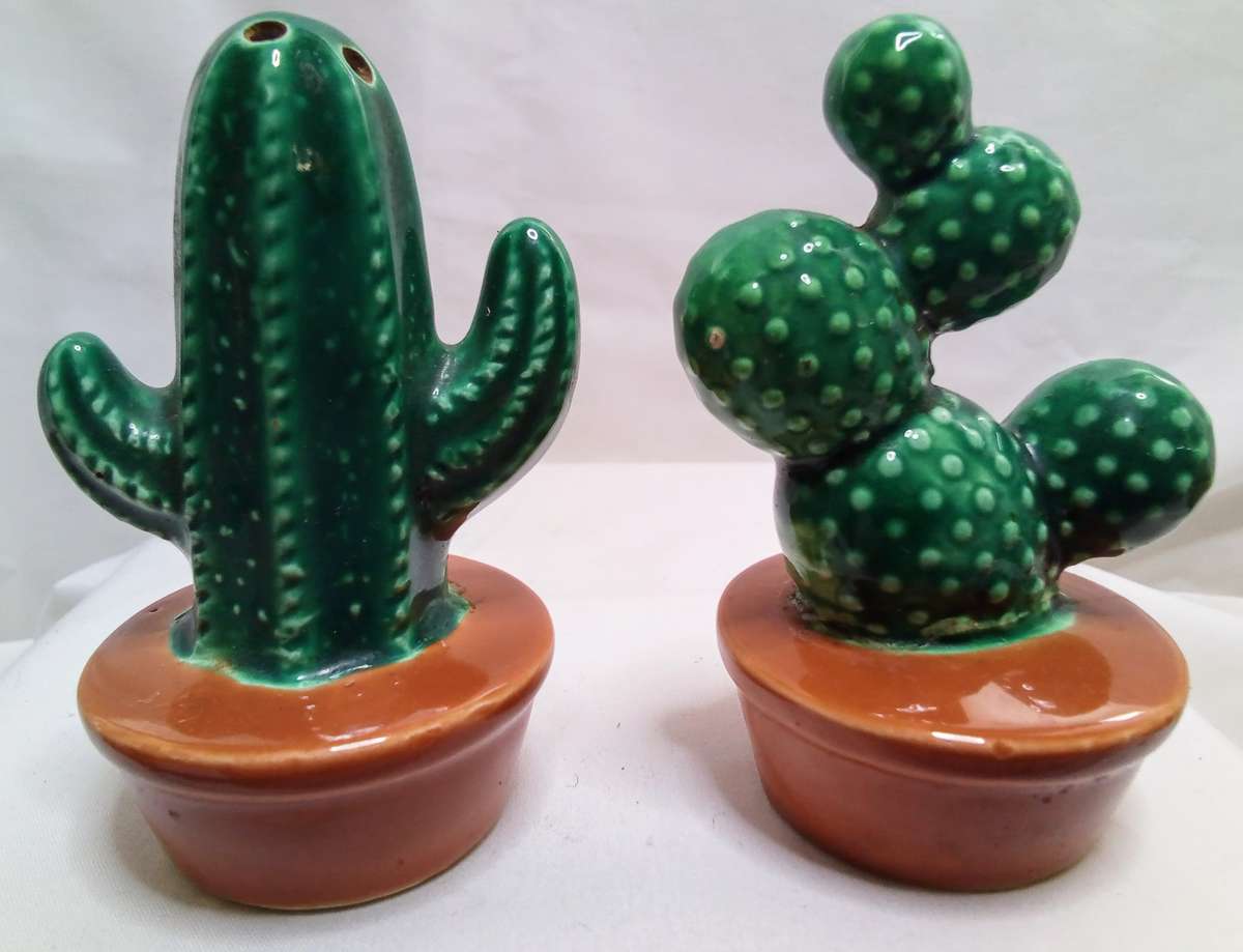 Cacti porcelain salt and pepper set