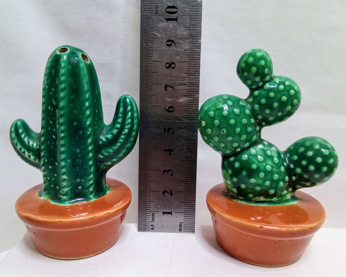 Cacti porcelain salt and pepper set