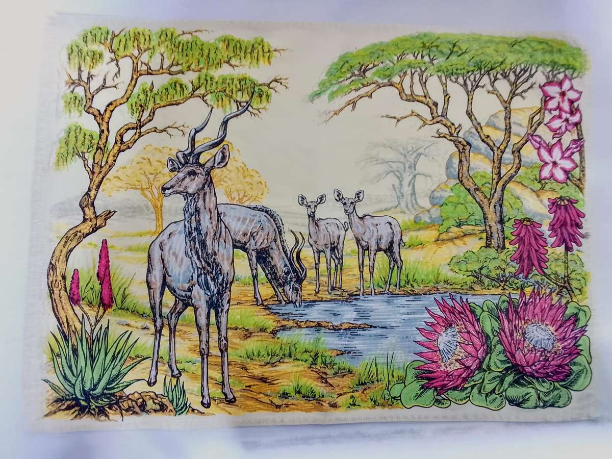 Four vintage Kruger park fabric place mats